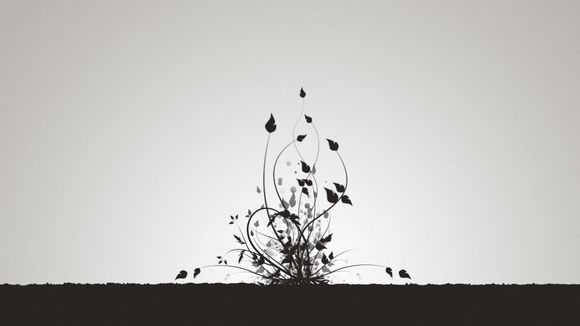 苏州值得一去的景点