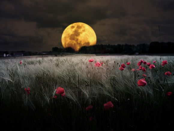 英镑换人民币汇率计算