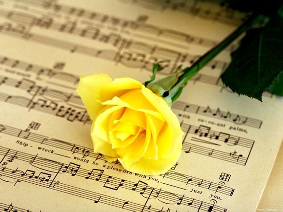 北京欢乐谷热线电话是多少